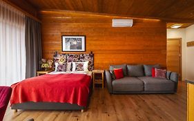 Apartamenty u Harrego BOUTIQUE SPA z klimatyzacja, balkon, sauna, tężnia parking